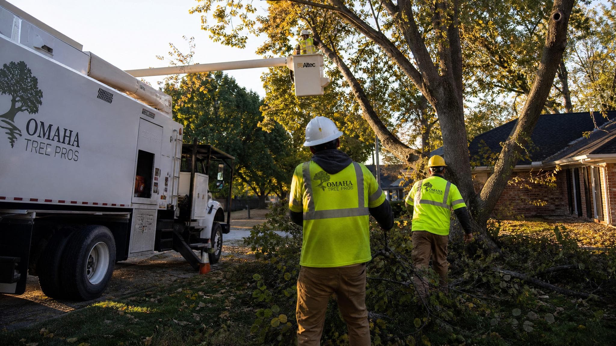 Tree trimming work